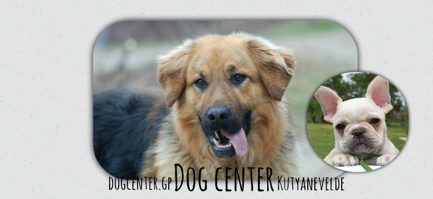 Dog Center G-portl 
